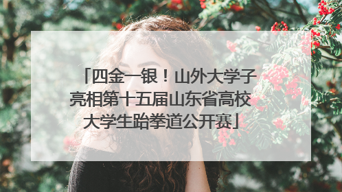 四金一银！山外大学子亮相第十五届山东省高校大学生跆拳道公开赛