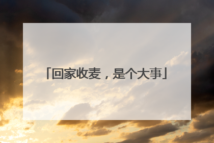 回家收麦，是个大事