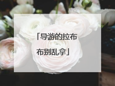 导游的拉布布别乱拿