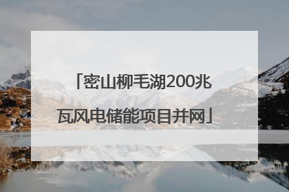 密山柳毛湖200兆瓦风电储能项目并网