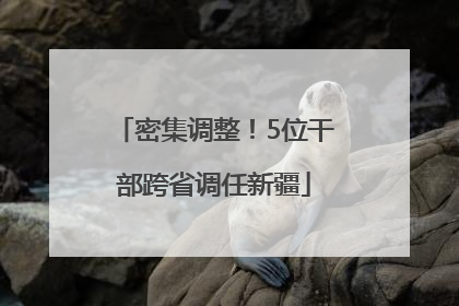 密集调整！5位干部跨省调任新疆