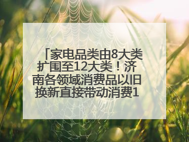家电品类由8大类扩围至12大类！济南各领域消费品以旧换新直接带动消费157.2亿元