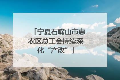 宁夏石嘴山市惠农区总工会持续深化“产改”