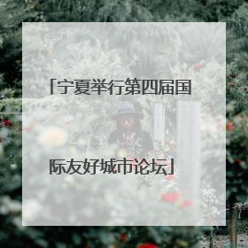 宁夏举行第四届国际友好城市论坛