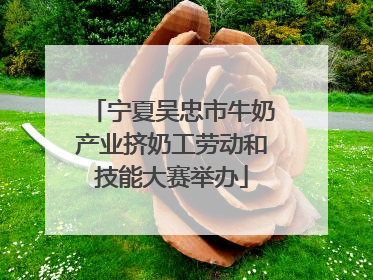 宁夏吴忠市牛奶产业挤奶工劳动和技能大赛举办