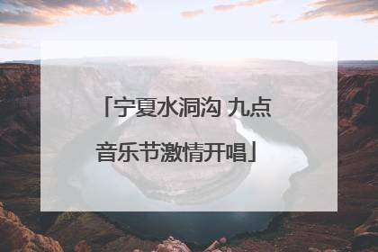 宁夏水洞沟 九点音乐节激情开唱
