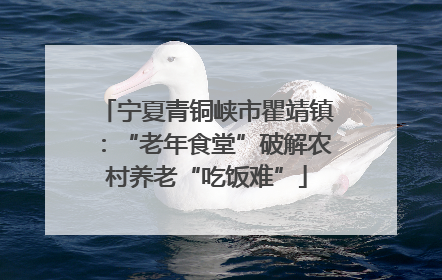 宁夏青铜峡市瞿靖镇：“老年食堂”破解农村养老“吃饭难”