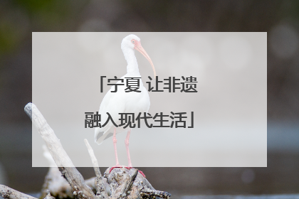 宁夏 让非遗融入现代生活