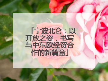 宁波北仑：以开放之姿，书写与中东欧经贸合作的新篇章