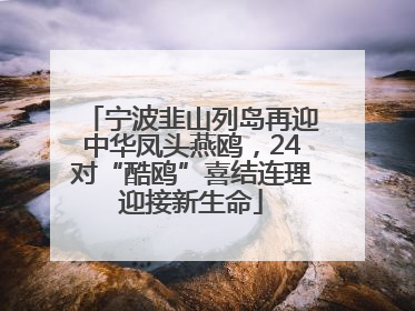 宁波韭山列岛再迎中华凤头燕鸥，24对“酷鸥”喜结连理迎接新生命