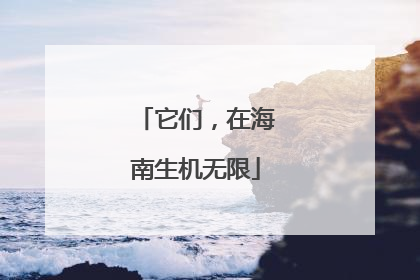 它们，在海南生机无限