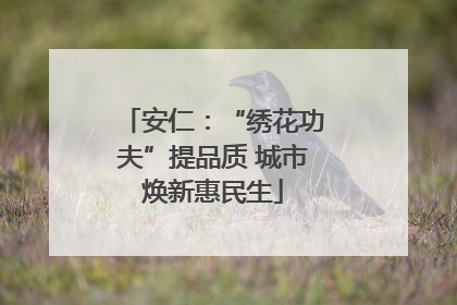 安仁：“绣花功夫”提品质 城市焕新惠民生