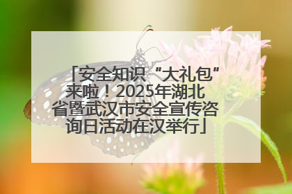 安全知识“大礼包”来啦！2025年湖北省暨武汉市安全宣传咨询日活动在汉举行