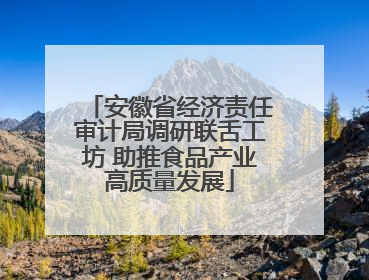安徽省经济责任审计局调研联舌工坊 助推食品产业高质量发展