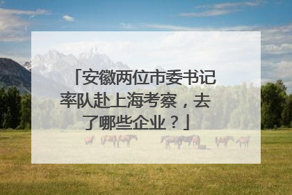 安徽两位市委书记率队赴上海考察，去了哪些企业？