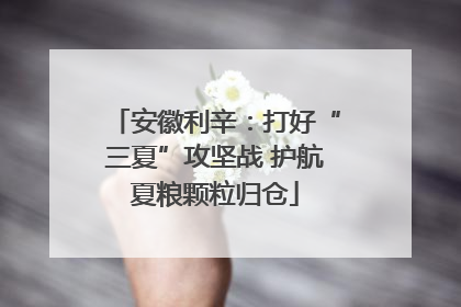 安徽利辛：打好“三夏”攻坚战 护航夏粮颗粒归仓