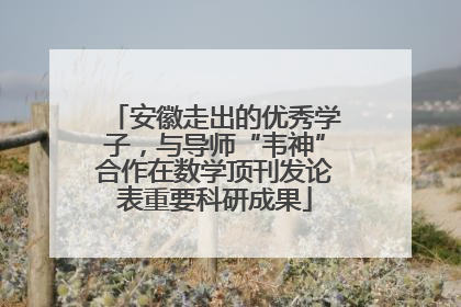 安徽走出的优秀学子，与导师“韦神”合作在数学顶刊发论表重要科研成果