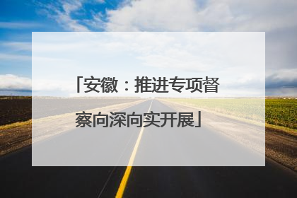 安徽：推进专项督察向深向实开展