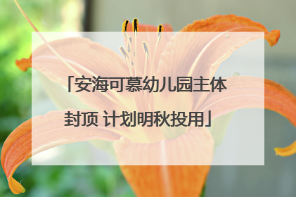 安海可慕幼儿园主体封顶 计划明秋投用