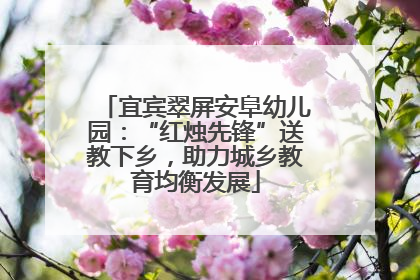 宜宾翠屏安阜幼儿园：“红烛先锋”送教下乡，助力城乡教育均衡发展