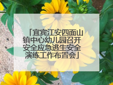 宜宾江安四面山镇中心幼儿园召开安全应急逃生安全演练工作布置会
