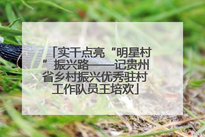 实干点亮“明星村”振兴路——记贵州省乡村振兴优秀驻村工作队员王培欢