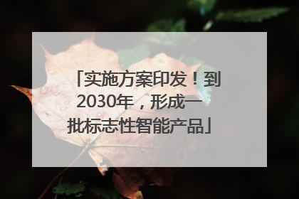 实施方案印发！到2030年，形成一批标志性智能产品