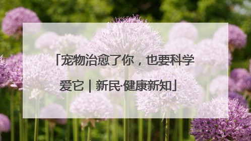 宠物治愈了你，也要科学爱它｜新民·健康新知