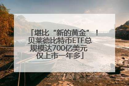 堪比“新的黄金”！贝莱德比特币ETF总规模达700亿美元 仅上市一年多