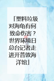 塑料垃圾对海龟有何致命伤害？世界环境日总台记者走进开普敦海洋馆