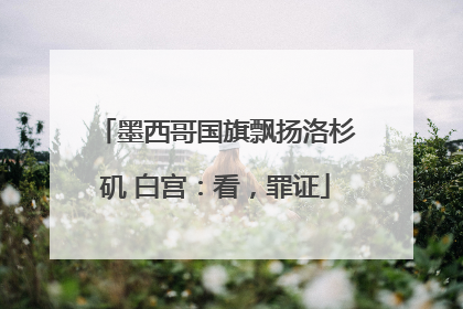 墨西哥国旗飘扬洛杉矶 白宫：看，罪证