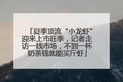 夏季顶流“小龙虾”迎来上市旺季，记者走访一线市场，不到一杯奶茶钱就能买斤虾