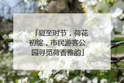 夏至时节，荷花初绽，市民游客公园寻觅荷香雅韵