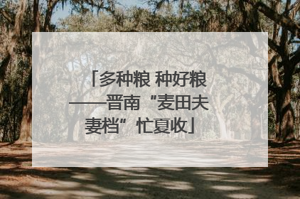 多种粮 种好粮——晋南“麦田夫妻档”忙夏收