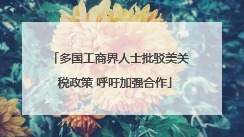 多国工商界人士批驳美关税政策 呼吁加强合作