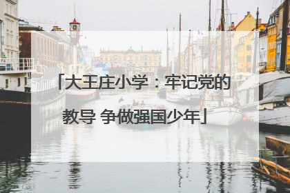 大王庄小学：牢记党的教导 争做强国少年