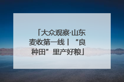 大众观察·山东麦收第一线丨“良种田”里产好粮