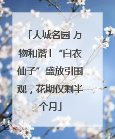大城名园 万物和谐│“白衣仙子”盛放引围观，花期仅剩半个月