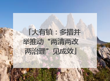 大有镇：多措并举推动“两清两改两治理”见成效