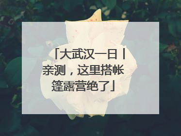 大武汉一日丨亲测，这里搭帐篷露营绝了