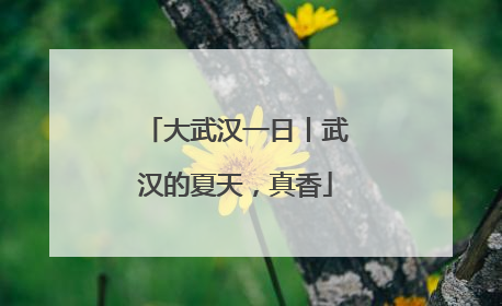 大武汉一日丨武汉的夏天，真香