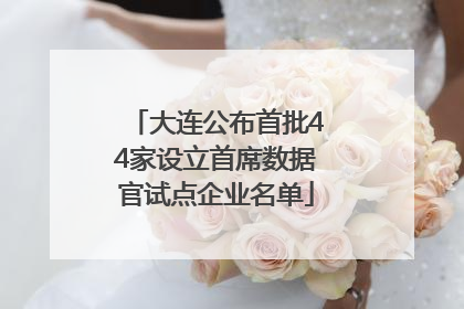 大连公布首批44家设立首席数据官试点企业名单