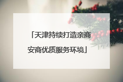 天津持续打造亲商安商优质服务环境
