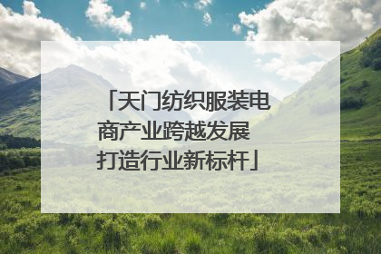 天门纺织服装电商产业跨越发展 打造行业新标杆