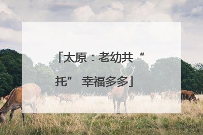 太原：老幼共“托” 幸福多多