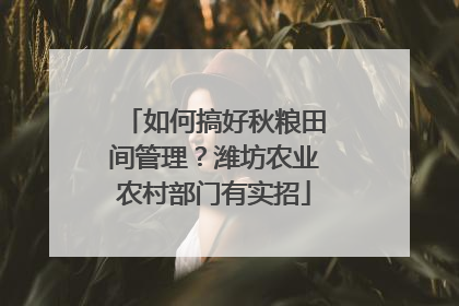 如何搞好秋粮田间管理？潍坊农业农村部门有实招