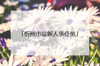 忻州市最新人事任免