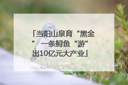 当阳山泉育“黑金” 一条鲟鱼“游”出10亿元大产业