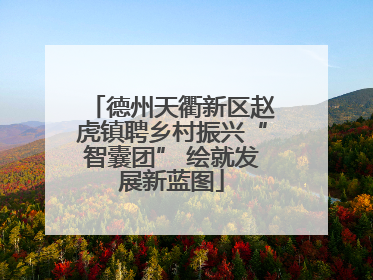 德州天衢新区赵虎镇聘乡村振兴“智囊团” 绘就发展新蓝图
