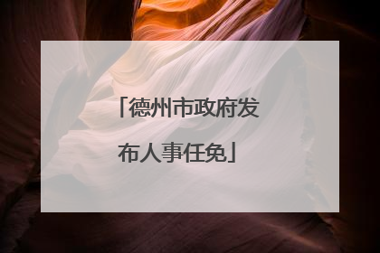 德州市政府发布人事任免
